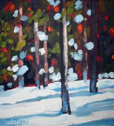 Mountain Winter Gallery